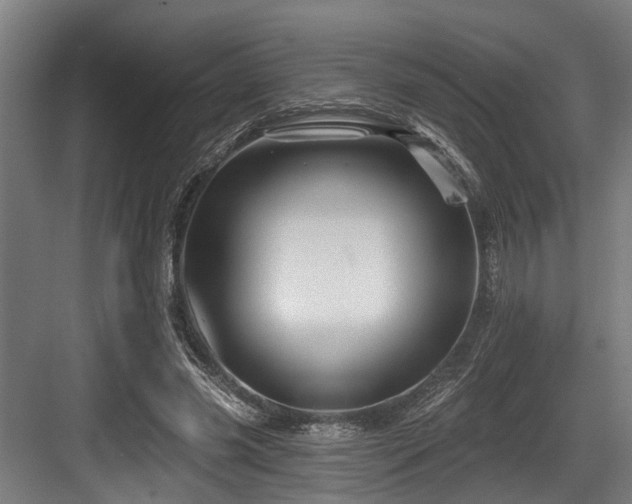 X0000083970541200702161106
