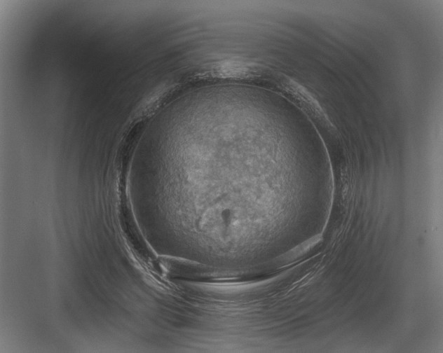 X0000083970542200702161106