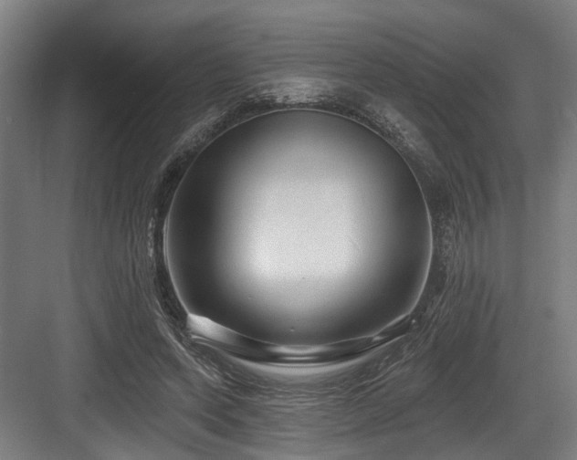 X0000083970543200702161106