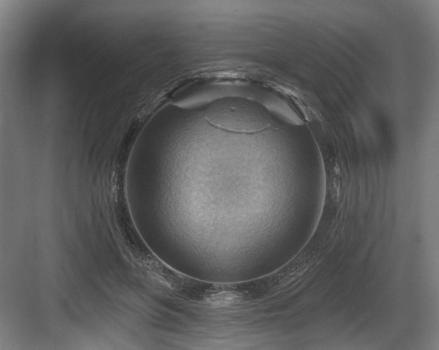 X0000083970551200702161106
