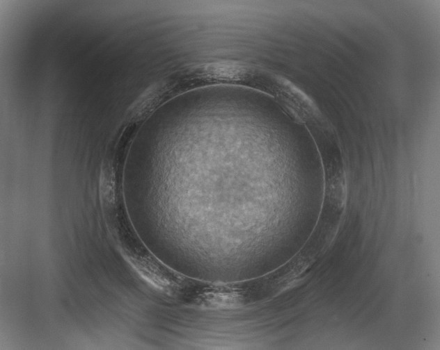 X0000083970552200702161106