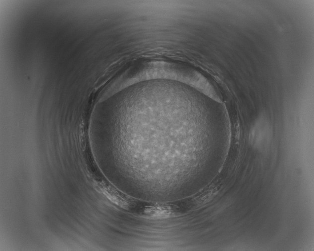 X0000083970559200702161106