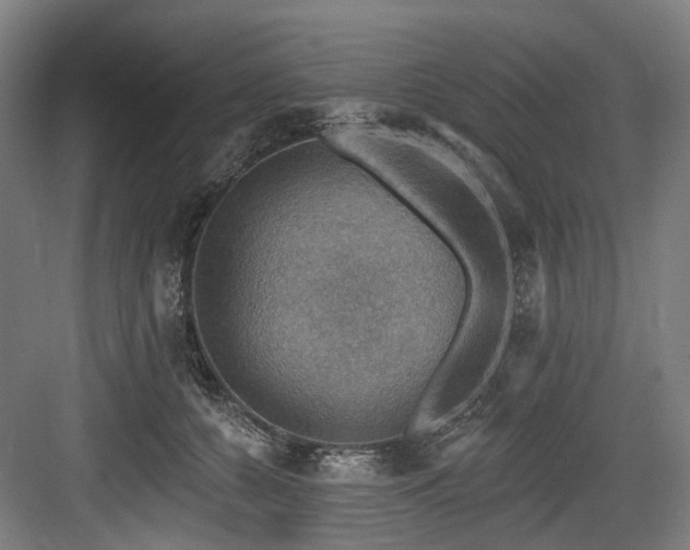 X0000083970560200702161106