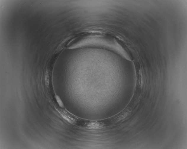 X0000083970562200702161106