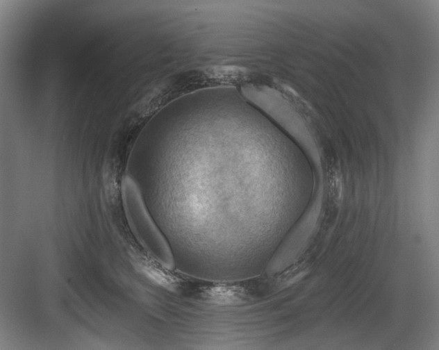 X0000083970566200702161106