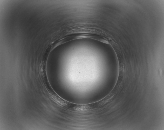 X0000083970567200702161106