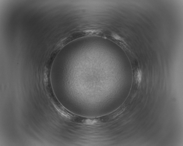 X0000083970570200702161106