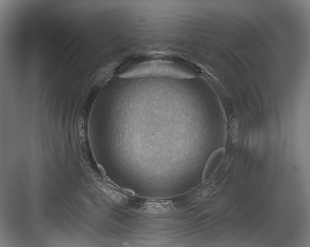 X0000083970571200702161106