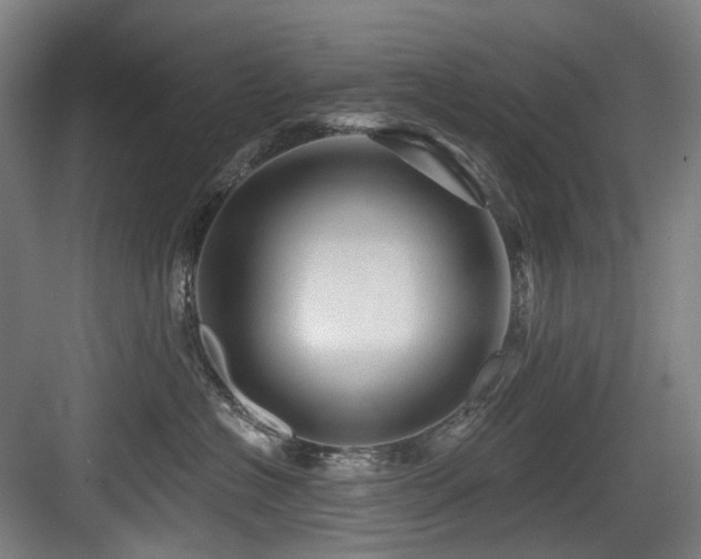 X0000083970574200702161107