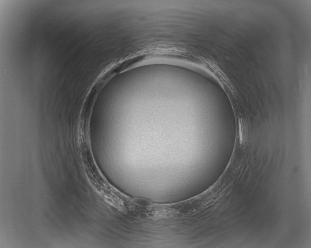 X0000083970579200702161106