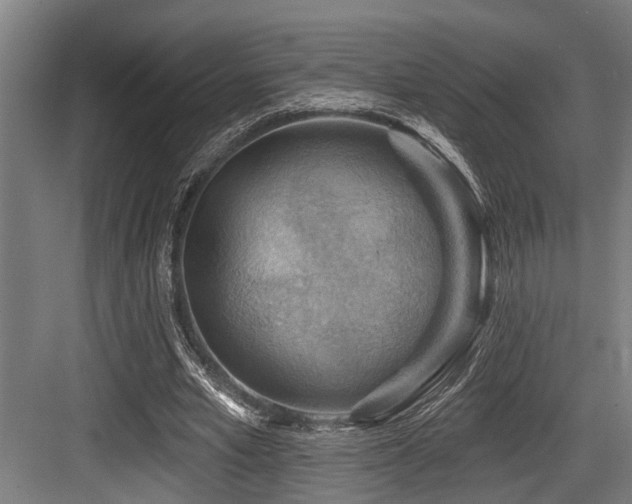 X0000083970581200702161106