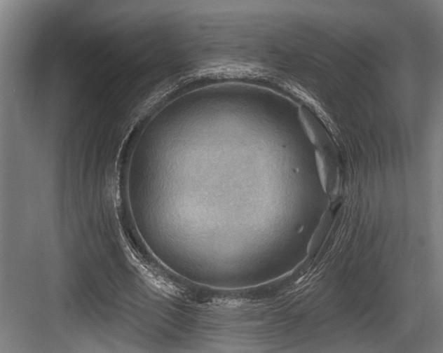 X0000083970582200702161106