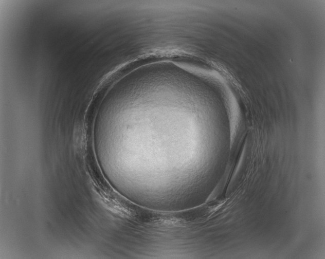 X0000083970583200702161106