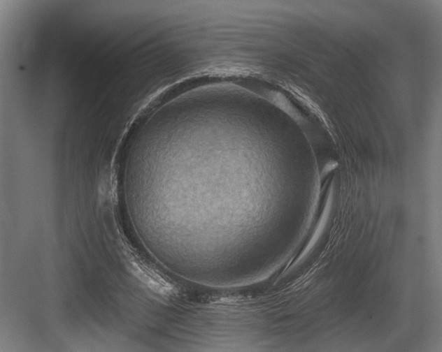 X0000083970584200702161106