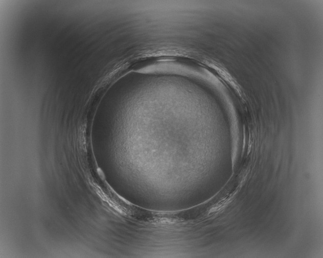 X0000083970585200702161106