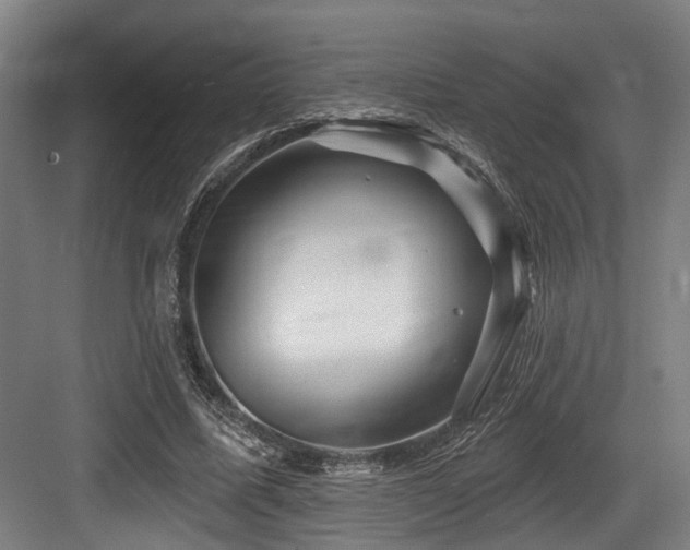 X0000083970587200702161106