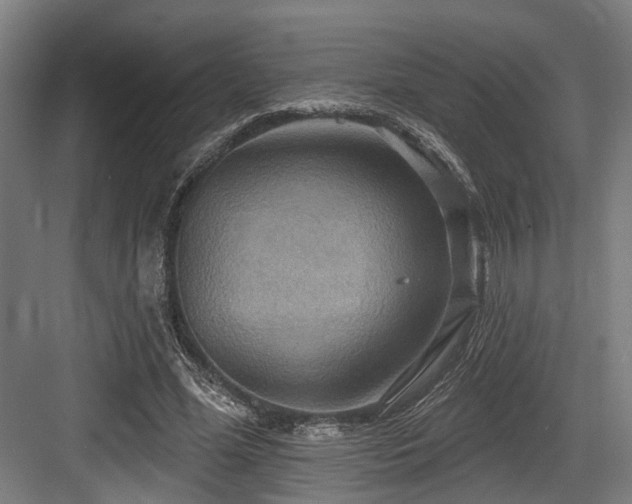 X0000083970588200702161106