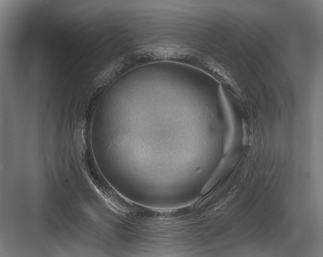 X0000083970590200702161106