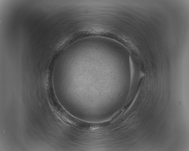 X0000083970591200702161106