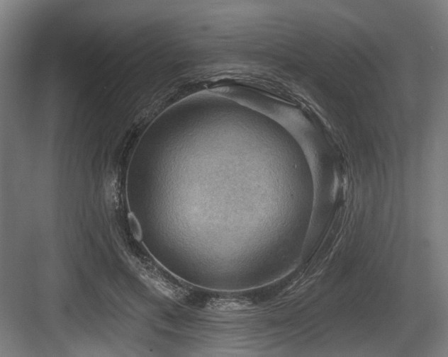 X0000083970597200702161105