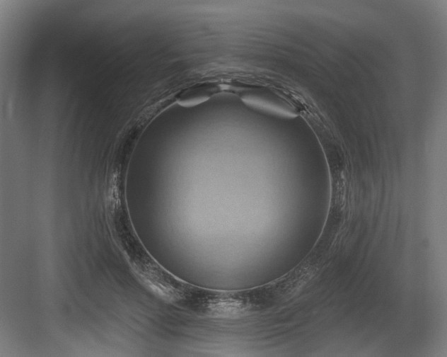 X0000083970598200702161105