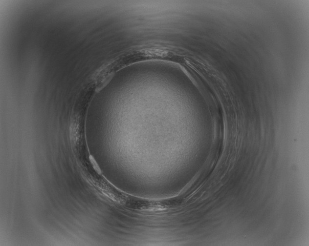 X0000083970600200702161105