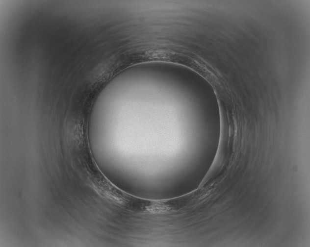 X0000083970603200702161105