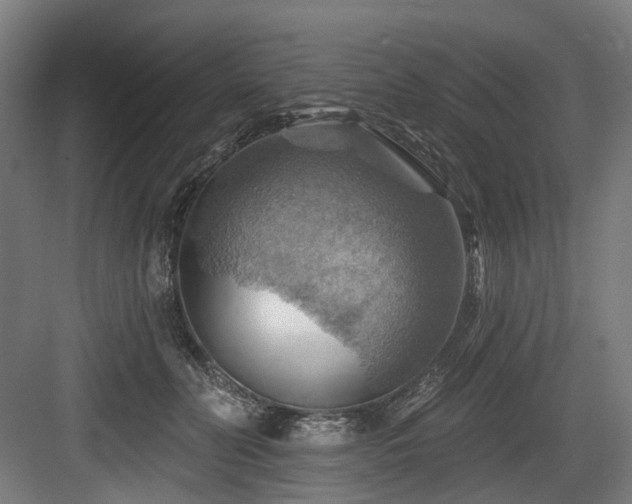 X0000083970606200702161105