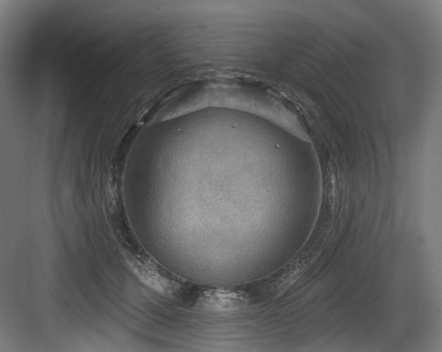 X0000083970607200702161105