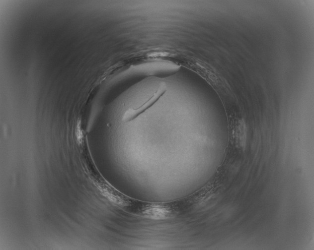 X0000083970610200702161105