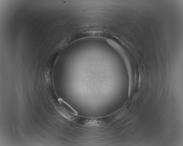 X0000083970611200702161105