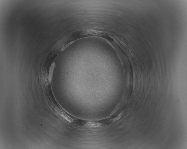 X0000083970617200702161105