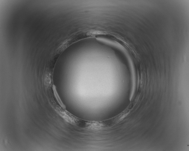 X0000083970621200702161105