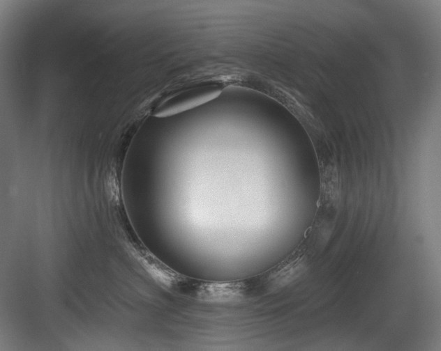 X0000083970622200702161105