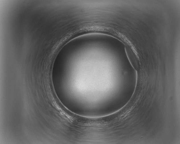 X0000083970625200702161104