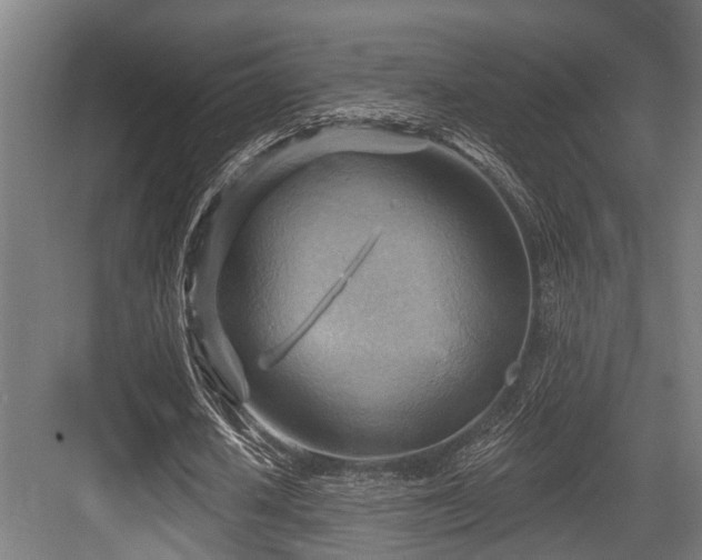 X0000083970626200702161104