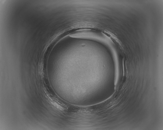 X0000083970627200702161104