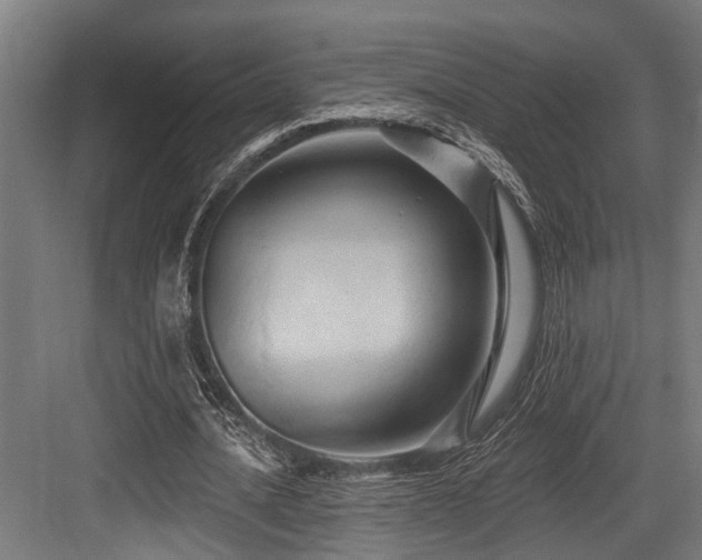 X0000083970628200702161104