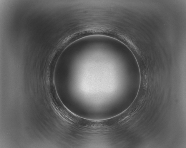 X0000083970631200702161104