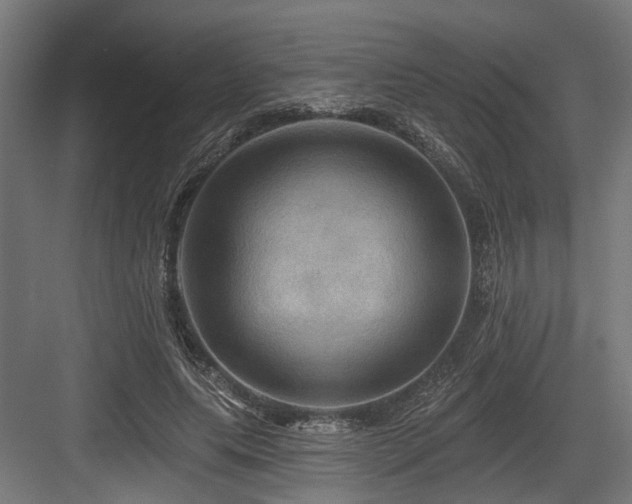 X0000083970639200702161104