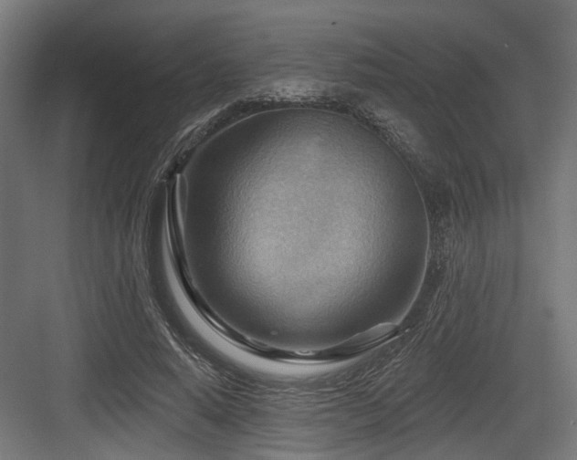X0000083970640200702161104