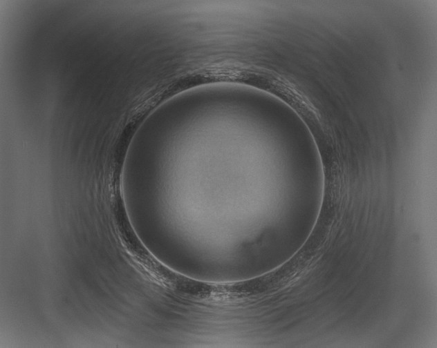 X0000083970641200702161104