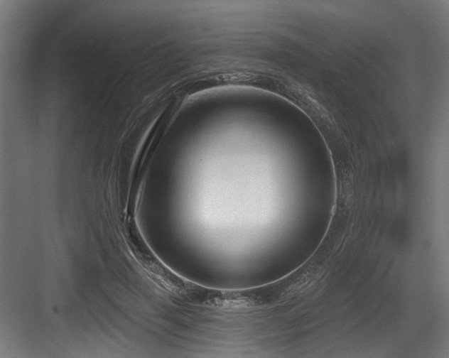 X0000083970645200702161105