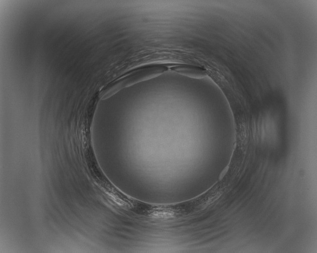 X0000083970653200702161105