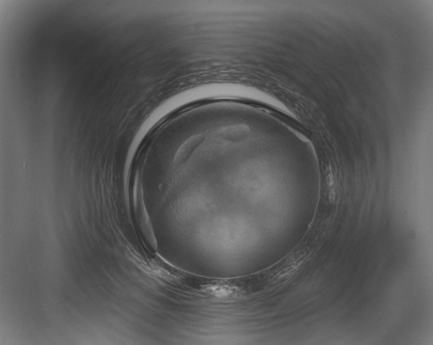 X0000083970654200702161105