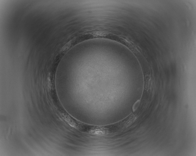 X0000083970655200702161105