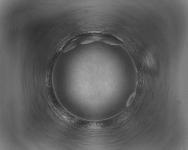 X0000083970656200702161105