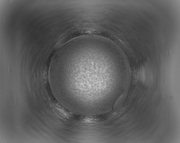 X0000083970657200702161105