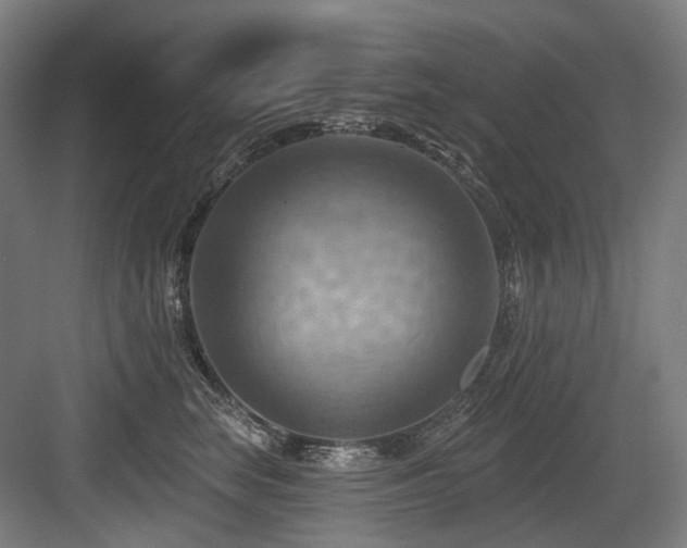 X0000083970663200702161105