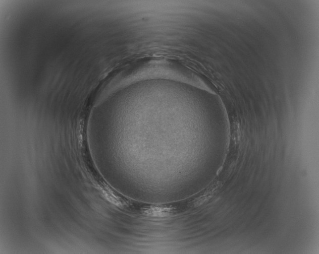 X0000083970664200702161105